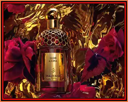 test quiz ce parfum mi se potrivește în funcție de muzica pe care o ascult și cum mă îmbrac