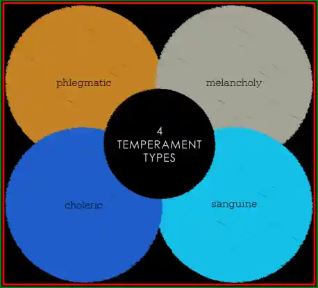 test quiz de personalitate ce temperament sunt